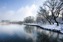 Neve coberto de árvores na bela beira do lago em Pequim, China — Fotografia de Stock