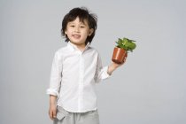 Маленький азиатский мальчик держит цветок в горшке на сером фоне — стоковое фото