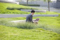 Empresário chinês usando laptop na área verde, visão traseira — Fotografia de Stock