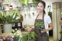 Chinês lojista segurando plantas em florista loja — Fotografia de Stock
