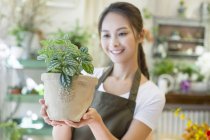 Fleuriste chinois tenant la plante en pot dans les mains — Photo de stock