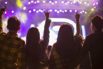 Chinesische Freunde haben Spaß beim Musikfestival — Stockfoto