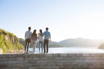 Rear view of friends standing on lakeside in suburbs — Stock Photo