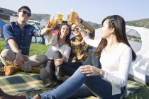 Chinese friends sitting on blanket with beer at camping — Stock Photo