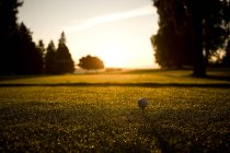 Alzati e colpiscilo, concetti di golf — Foto stock
