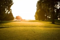 Accélérez et frappez-le, concepts de golf — Photo de stock