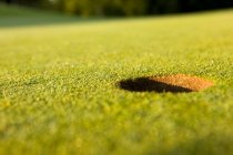 Простая цель, концепции гольфа — стоковое фото