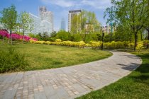 Urban park scene with greenery and buildings, China — Stock Photo