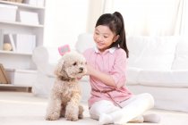 Menina chinesa brincando com um poodle de brinquedo de estimação — Fotografia de Stock