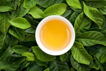 Té en taza y hojas de té frescas - foto de stock