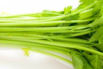Bundle of fresh celery on white background — Stock Photo