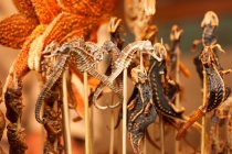 Варені гекони, морські коні на шампурах — стокове фото