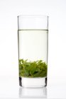 Vetro di tè verde tradizionale cinese isolato su sfondo bianco — Foto stock