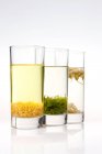 Traditioneller chinesischer Kräutertee und grüner Tee in Gläsern auf weißem Hintergrund — Stockfoto