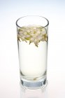 Vidro de chá de ervas chinês, chá de jasmim isolado no fundo branco — Fotografia de Stock