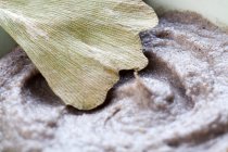 Органічна трав'яна кремова маска з листом гінкго — стокове фото