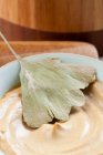 Organic herbal cream mask with ginkgo leaf — Stock Photo