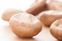 Shiitake-Pilze auf Holzbrett, Nahaufnahme — Stockfoto