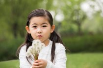 Cute Chinese girl with dandelion — Stock Photo