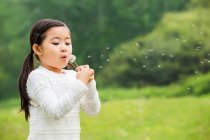 Cute Chinese girl with dandelion — Stock Photo