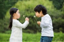 Chinese boy and girl blowing dandelion — Stock Photo