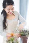 Giovane donna cinese che organizza fiori a casa — Foto stock