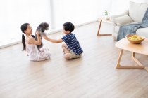 Glückliches chinesisches Geschwisterchen spielt mit Hund im Wohnzimmer — Stockfoto
