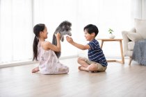 Feliz hermano chino jugando con perro en la sala de estar - foto de stock
