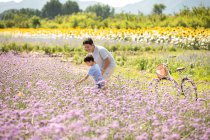 Pai e filho chineses no campo de flores — Fotografia de Stock