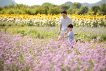 Padre e hijo chinos en el campo de flores - foto de stock
