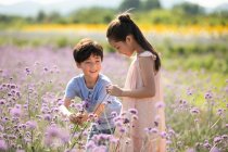 Deux enfants chinois cueillant des fleurs dans le champ — Photo de stock