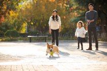 Jovem família chinesa feliz e cão de estimação no parque — Fotografia de Stock