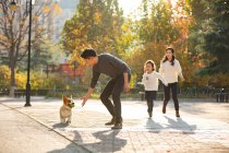 Feliz joven familia china y perro mascota en el parque - foto de stock