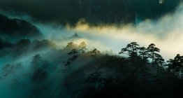 Bäume auf Felsen mit niedrigen Wolken, Huangshan, China — Stockfoto