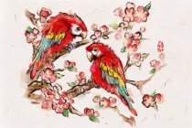 Perroquets perchés sur des branches de cerisier en fleurs — Photo de stock