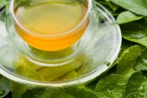 Glass cup of tea on green wet leaves, close up shot — Stock Photo