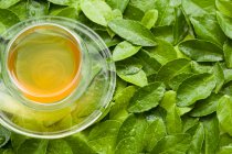 Glas Tee auf grünen nassen Blättern — Stockfoto
