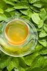 Glass cup of tea on green wet leaves — Stock Photo