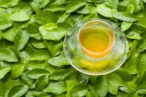 Tasse de thé en verre sur des feuilles vertes humides — Photo de stock
