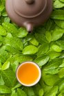 Bule e xícara de chá em folhas verdes — Fotografia de Stock