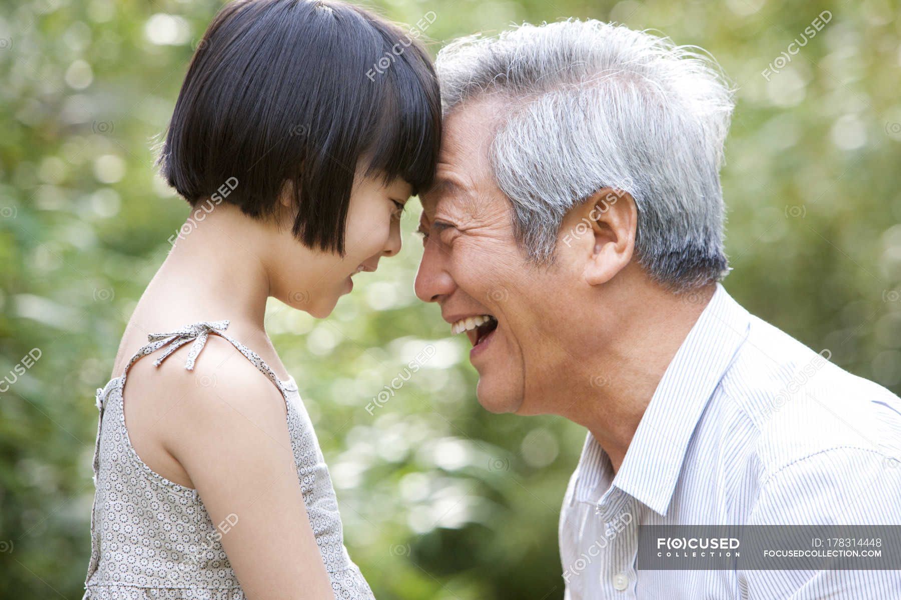 Chinese Grandpa And Granddaughter Pressing Foreheads In Garden Senior 