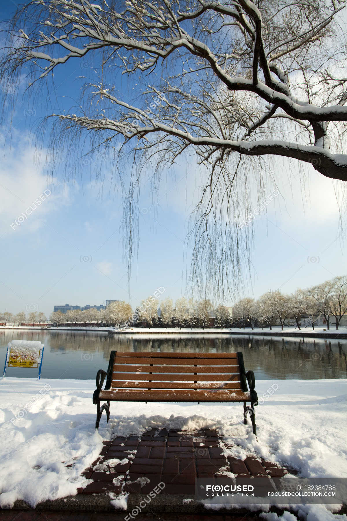 Скамейка в парке зимой