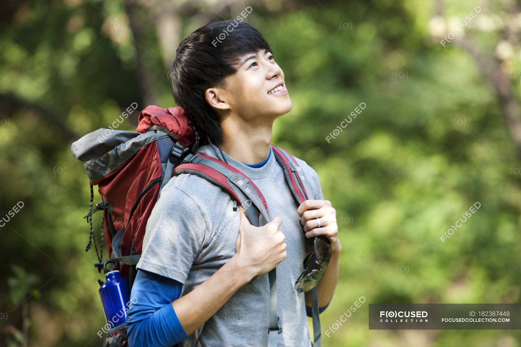 Chinese male hiker looking up in woods — Chinese Ethnicity, lifestyle ...