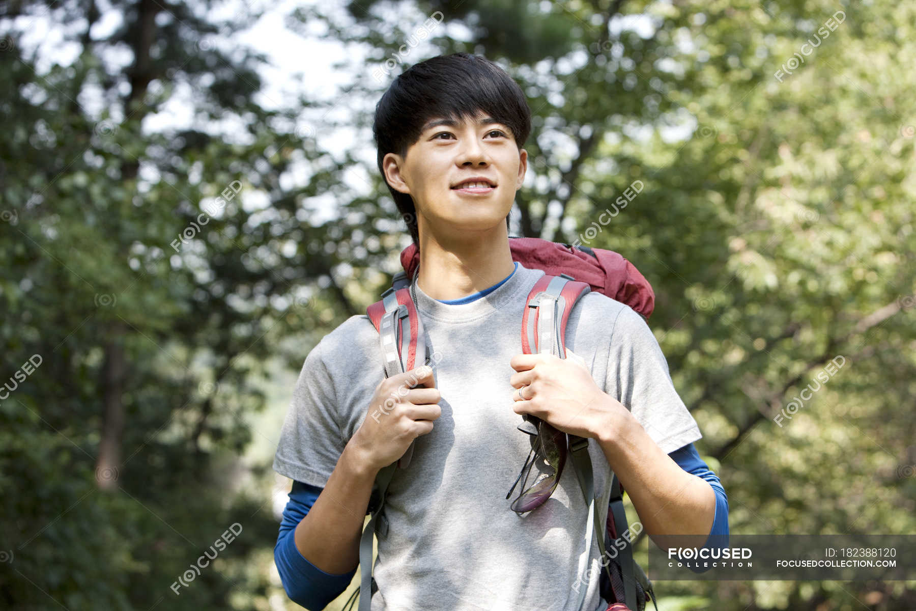 Chinese Male Hiker Looking Away In Woods — Eco Tourism, Forest - Stock 