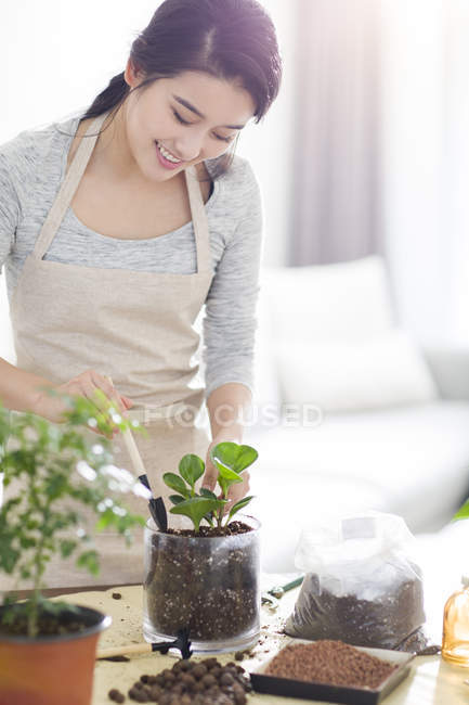 Chinesin pflanzt Pflanzen zu Hause — Stockfoto