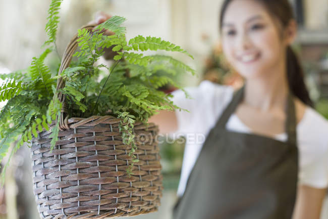 Floristería china sosteniendo cesta con planta en tienda - foto de stock