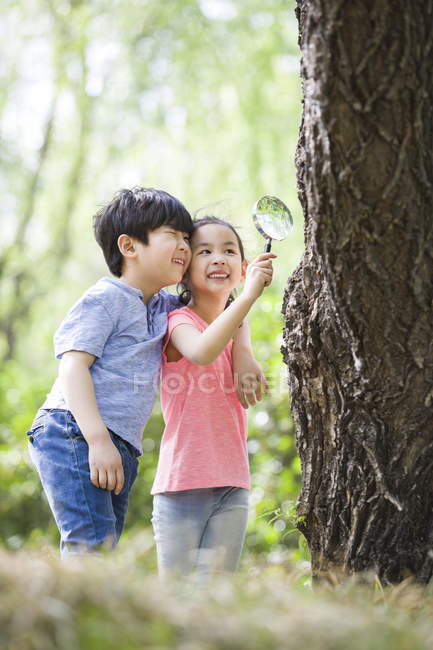 Crianças chinesas explorando tronco de árvore com lupa — Fotografia de Stock