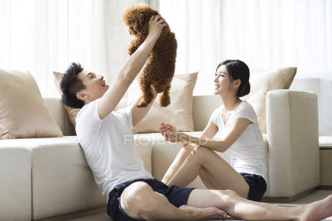 Chinese couple playing with pet poodle at home — Stock Photo