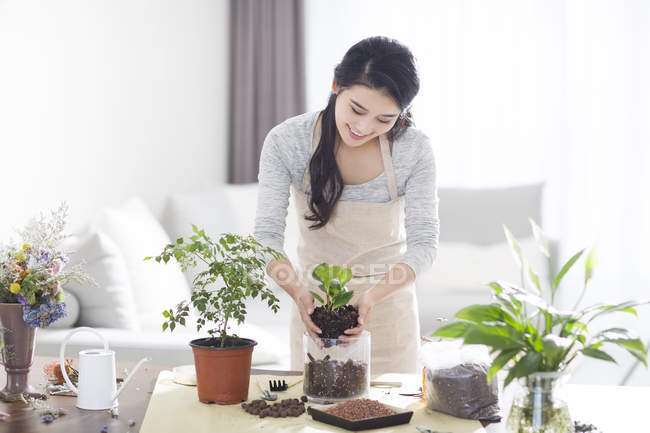 Chinese woman potting plants at home — Stock Photo