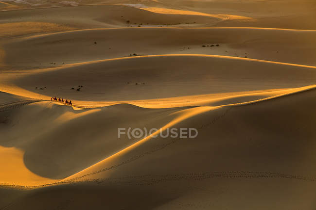 Vista da caravana no deserto ao entardecer em Dunhuang, China — Fotografia de Stock